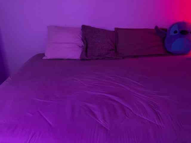 RoxyVivid webcam
