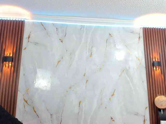 loliss-sh webcam