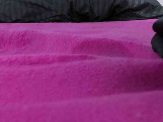 loliss-sh webcam