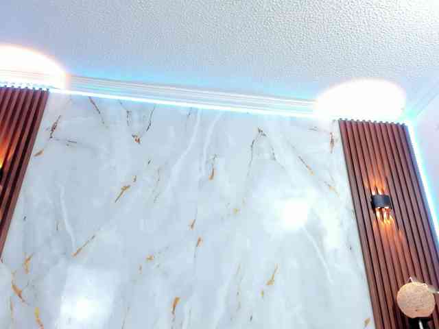 loliss-sh webcam
