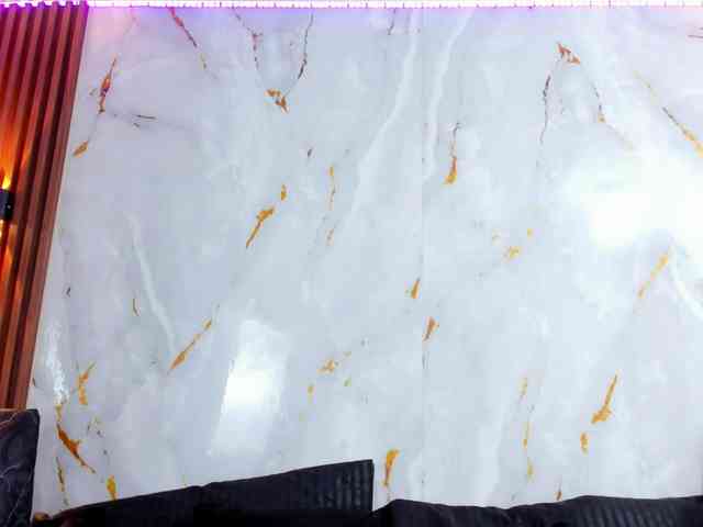 loliss-sh webcam
