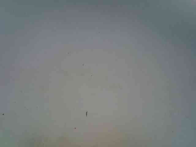African-qeen1 webcam