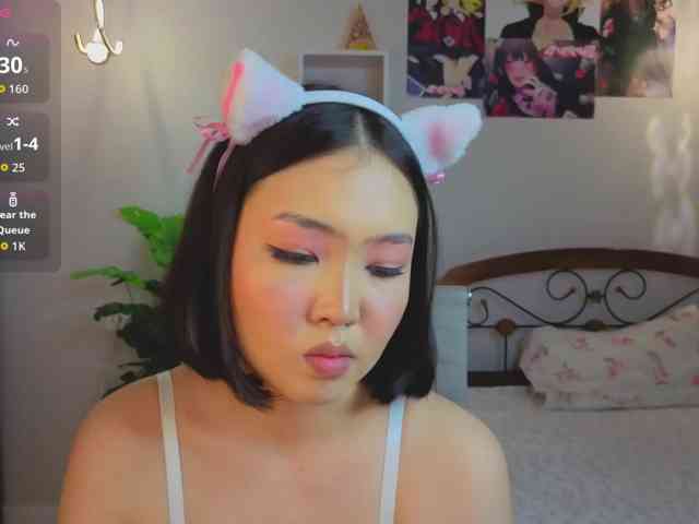 Model: akino-hen1