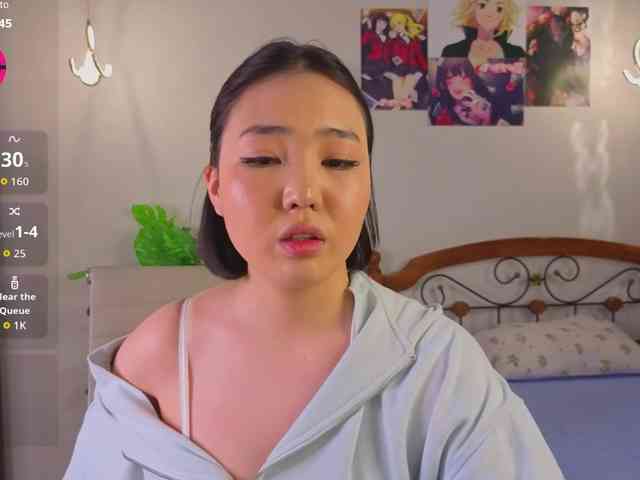 akino-hen1 webcam