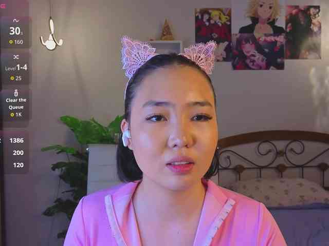 akino-hen1 webcam