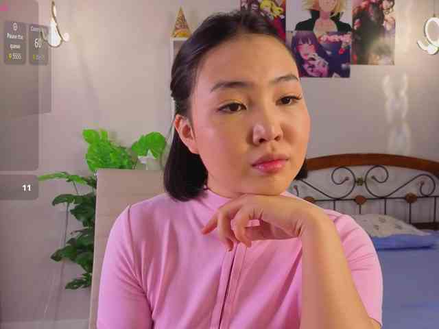 akino-hen1 webcam