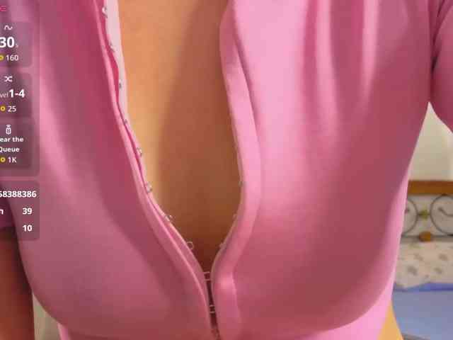 akino-hen1 webcam