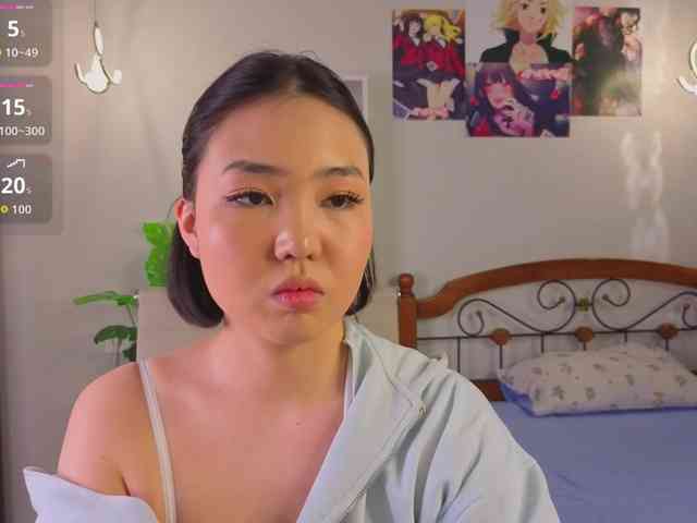 akino-hen1 webcam