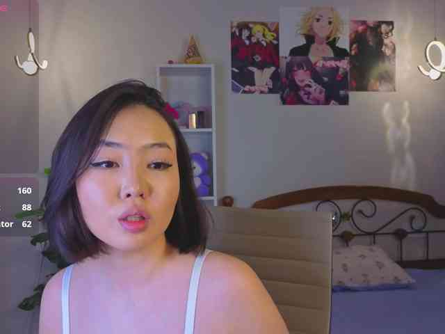 akino-hen1 webcam