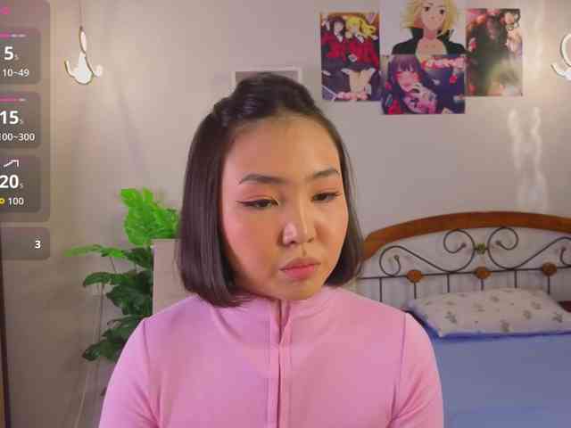 akino-hen1 webcam