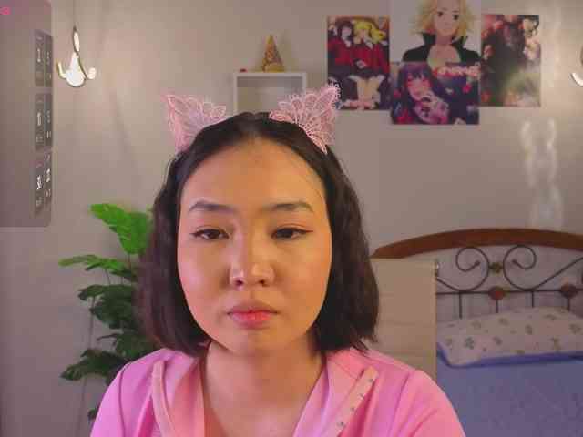 Model: akino-hen1
