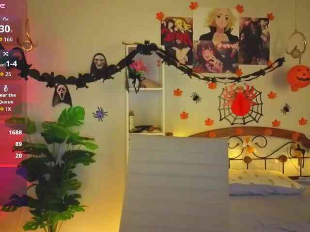 akino-hen1 webcam