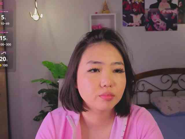 akino-hen1 webcam