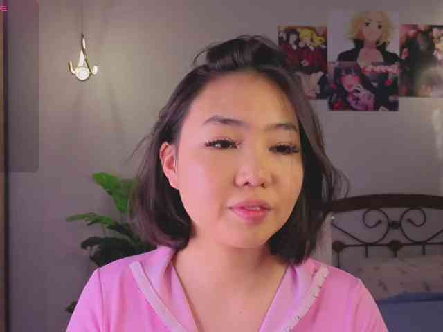 akino-hen1 webcam