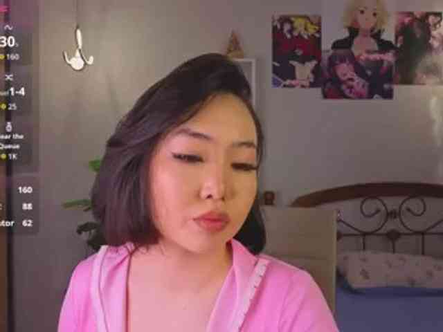 akino-hen1 webcam