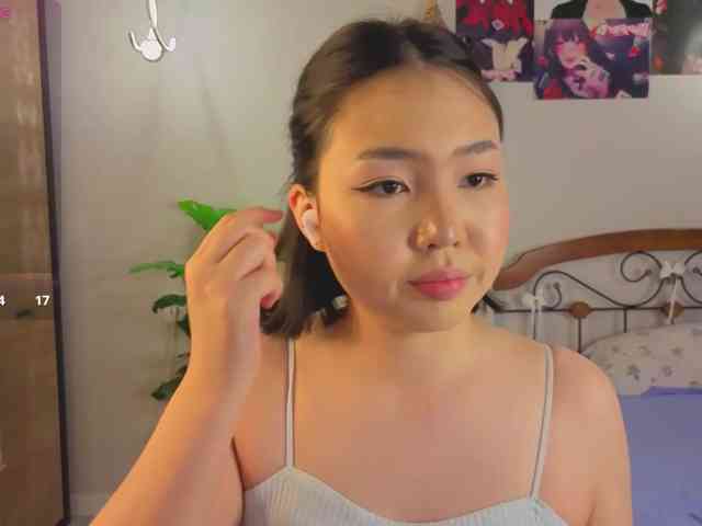 Model: akino-hen1