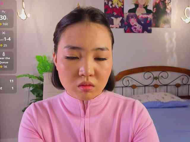 akino-hen1 webcam