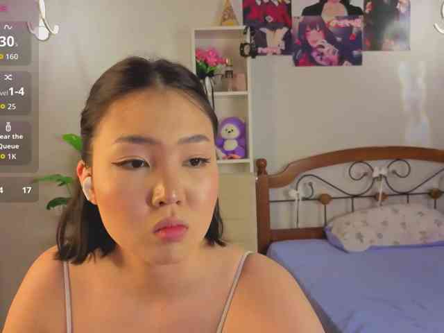 akino-hen1 webcam