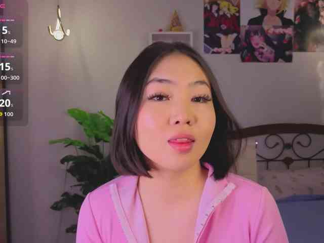 akino-hen1 webcam