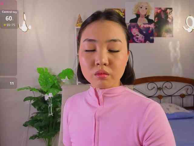 akino-hen1 webcam