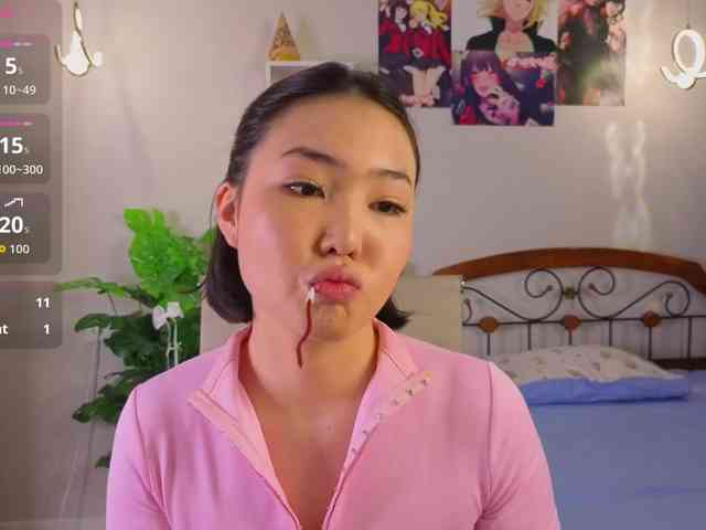 akino-hen1 webcam