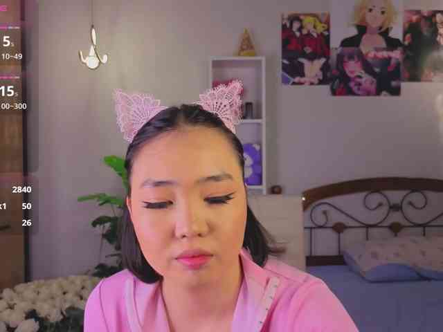 akino-hen1 webcam