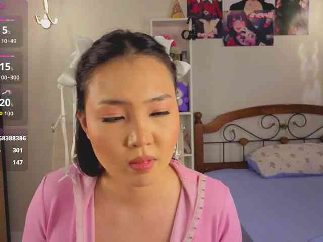 akino-hen1 webcam