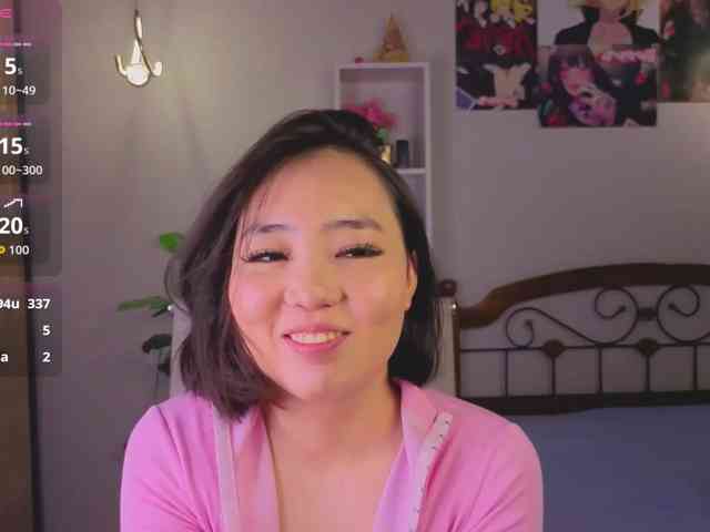 akino-hen1 webcam