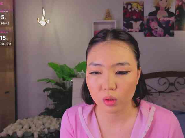 akino-hen1 webcam