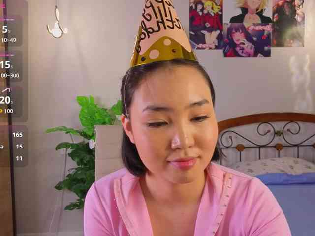 akino-hen1 webcam