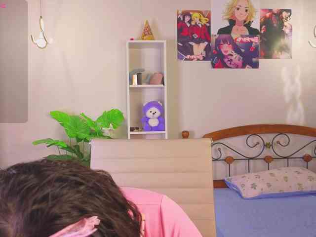 akino-hen1 webcam