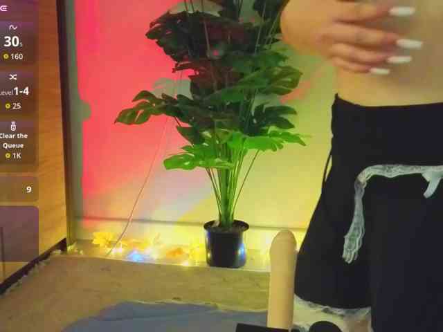 akino-hen1 webcam