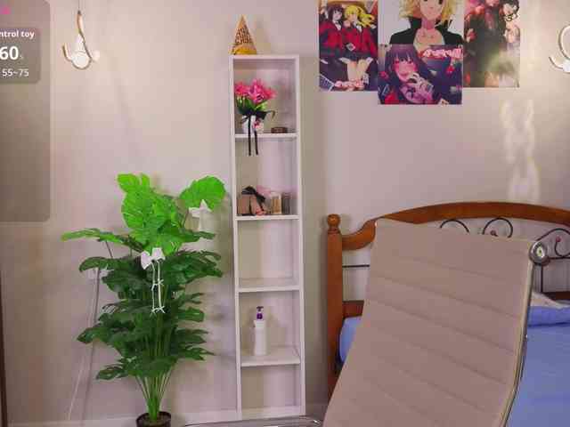 akino-hen1 webcam