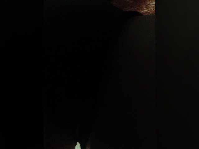 NastyaFox691