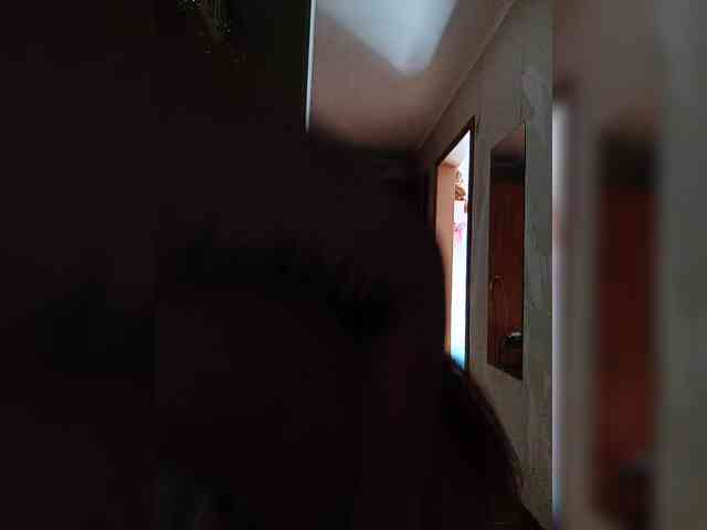 NastyaFox691 webcam