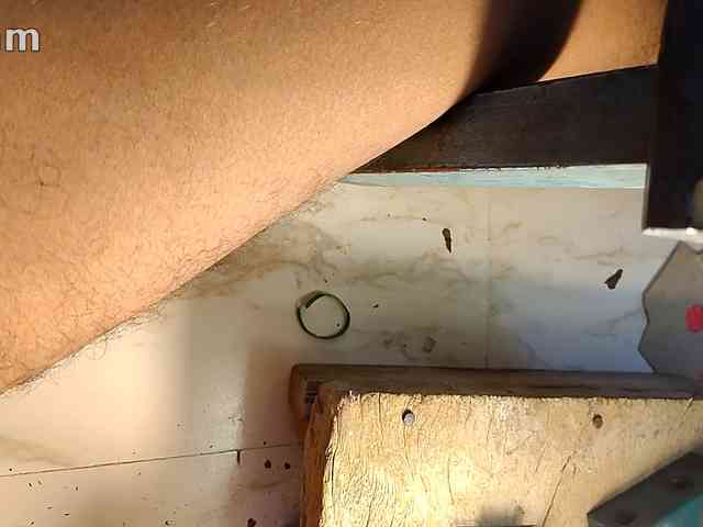 gay-hairy-teen-boy