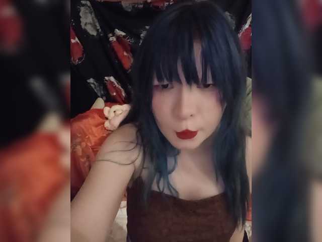 MISA-DAMON webcam