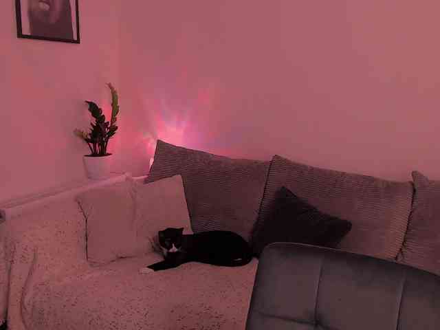 MiaMuuurr webcam