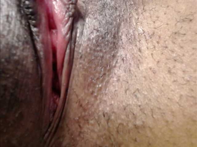 maya- live cam preview