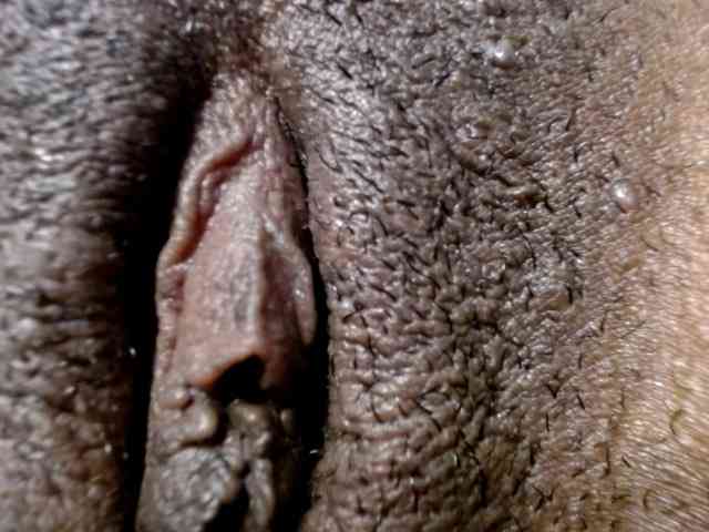 maya- webcam