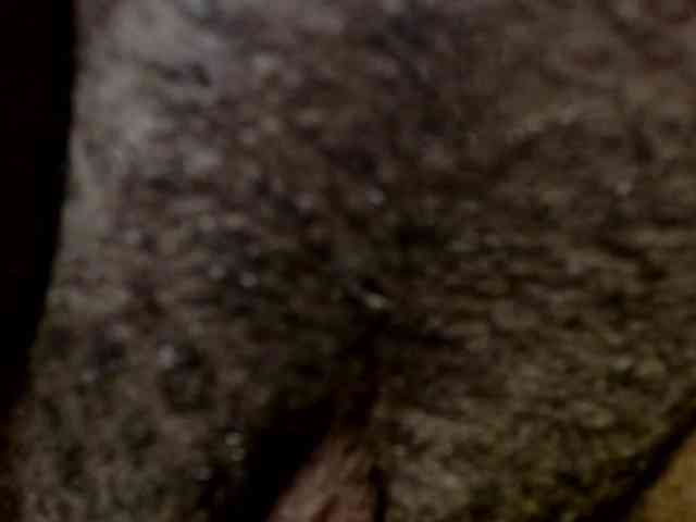 maya- webcam