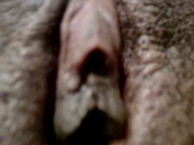 maya- webcam