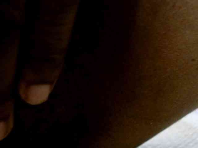 maya- webcam