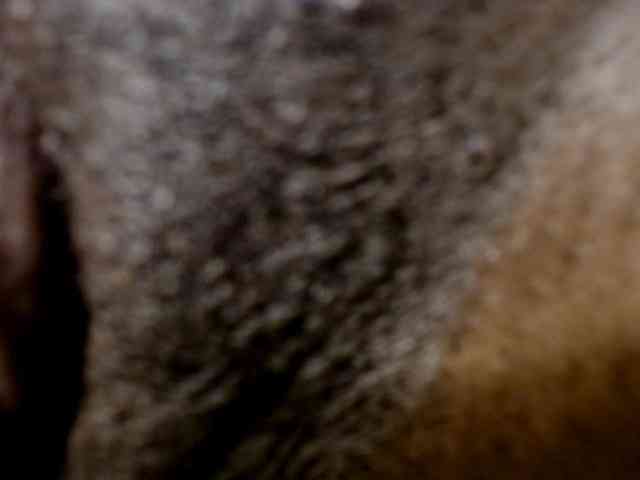 maya- webcam