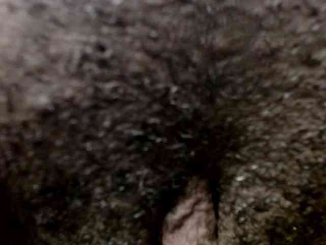 maya- webcam