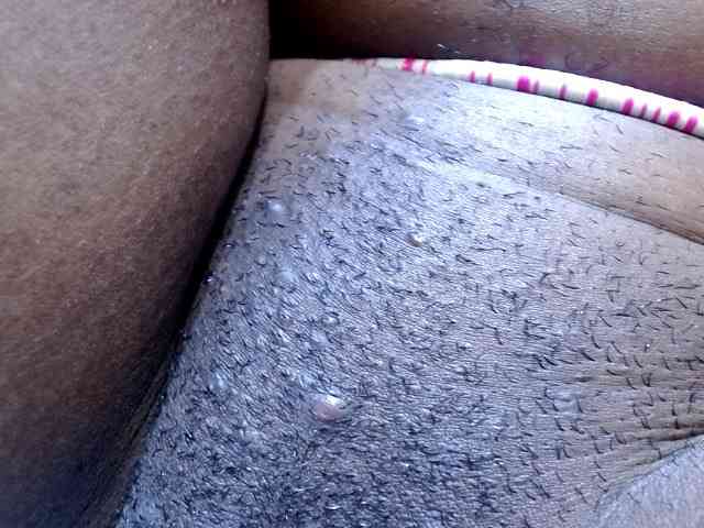 maya-