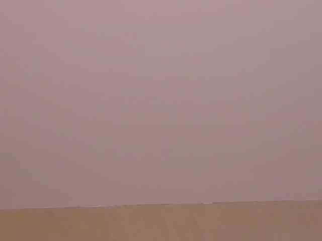 SweetAyra webcam