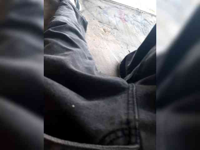 timon7561 timon7561