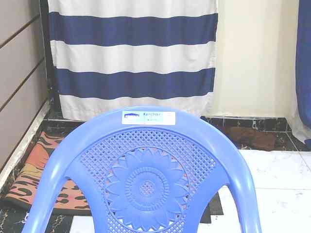 Prettypicky webcam