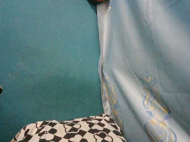 Sorayah1